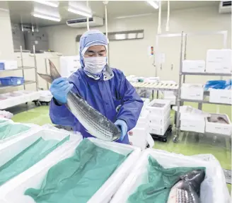  ??  ?? A worker sorts fresh fish for customer orders ahead of distributi­on.