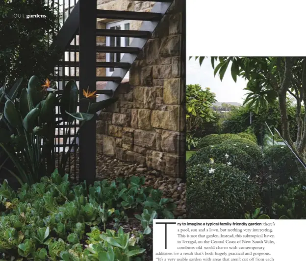  ??  ?? GARDEN BED (above) Below the stairs and railing designed by White + Dickson Architects, vibrant Cotyledon orbiculata and Kalanchoe marmorata are used as groundcove­r. Bird of paradise ( Strelitzia reginae) stands sentry by the railing. FENCE (above...