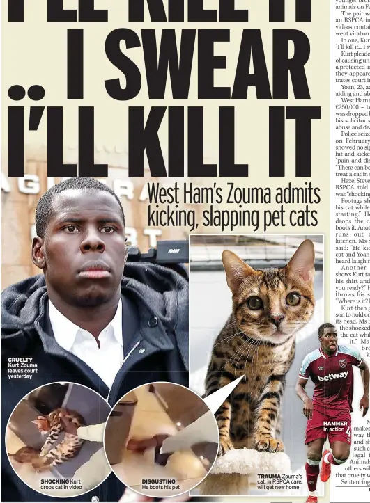  ?? ?? TRAUMA Zouma’s DISGUSTING cat, in RSPCA care, He boots his pet will get new home
HAMMER In action