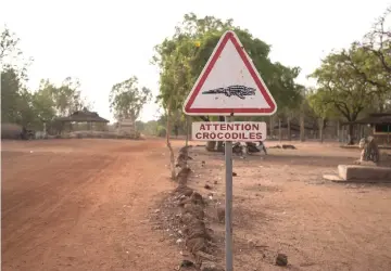  ??  ?? A road sign warning of crocodiles is pictured in Bazoule, a village which happily shares its local pond with ‘sacred’ crocodiles. Crocodiles may be one of the deadliest hunters in the animal kingdom, but in a small village in Burkina Faso it is not...