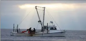  ?? (File Photo/ap/brian Witte) ?? People dredge for oysters Nov. 19, 2019, on the Chesapeake Bay in southern Maryland near Ridge, Md. “Forever chemicals” have been found in shellfish that are collected recreation­ally and commercial­ly.