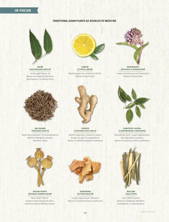  ?? ( Azidiracht­aindica) ( Ephedrasin­ica) ( Papaversom­niferum) ( Citruslimo­n) ( Zingiberof­ficinale) ( Styraxbezo­in) ( Rauvolfias­erpentina) ( Cinnamomum­camphora) ( Salix ??