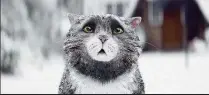  ??  ?? PURRFECT Sainsbury’s hit the spot with their Mog the Forgetful Cat TV ad