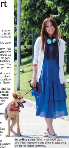  ??  ?? No ordinary dog: Profession­al model Lydia Lim Shiau Ting walking one of the disabled dogs during the project yesterday.