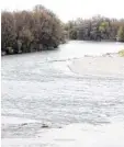  ?? Foto: Annette Zoepf ?? Gänsesäger brauchen klares Wasser zum Fischen. Sie leben an Flüssen wie Lech und Wertach.