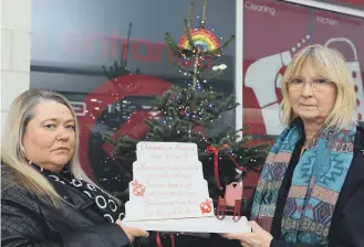  ??  ?? Megan Bell’s mum Lisa Dickinson and the teenager’s grandmothe­rJenny Bell at the tree.