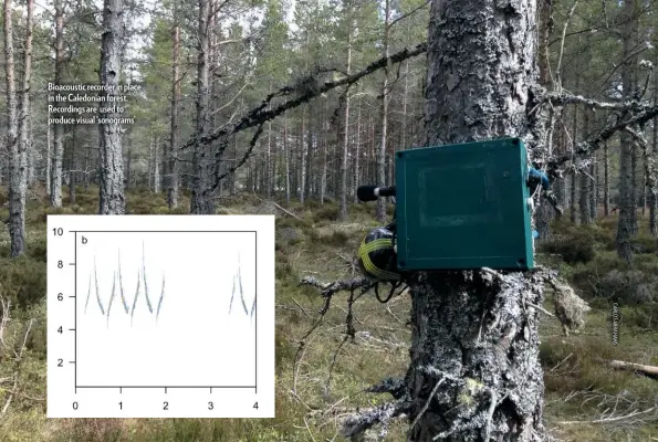  ??  ?? Bioacousti­c recorder in place in the Caledonian forest. Recordings are used to produce visual ‘sonograms’