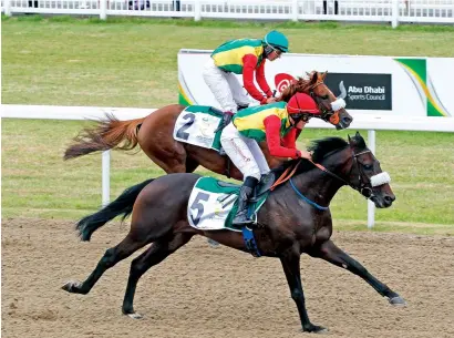  ?? Supplied photo ?? The Sheikh Mansour bin Zayed Al Nahyan Global Arabian Flat Horse Racing Festival stops at Chelmsford City Racecourse. —