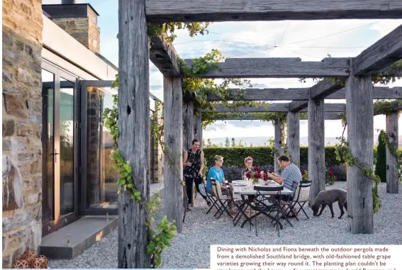  ??  ?? Dining with Nicholas and Fiona beneath the outdoor pergola made from a demolished Southland bridge, with old- fashioned table grape varieties growing their way round it. The planting plan couldn’t be simpler around the house – a few specimen trees,...