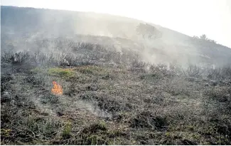  ??  ?? A small fire burns on the moor, left, as firefighte­rs dampen the land to try to quench the blaze yesterday. Horses were moved through nearby Carrbrook, right, after residents were evacuated from their homes