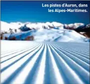  ??  ?? Les pistes d’Auron, dans les Alpes-Maritimes.