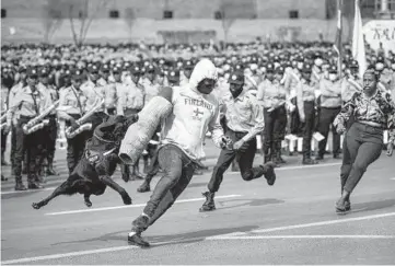  ?? BEN CURTIS/AP ?? Taking a real bite out of fake crime: Ethiopian police stage a demonstrat­ion on how a police dog catches a thief during a parade Saturday in Addis Ababa and ahead of elections scheduled for this week. Prime Minister Abiy Ahmed has said Monday’s elections will be the East African country’s first free and fair ones after decades of repressive rule.