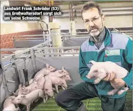  ??  ?? Landwirt Frank Schröder (53) aus Großwalter­sdorf sorgt sich um seine Schweine.
