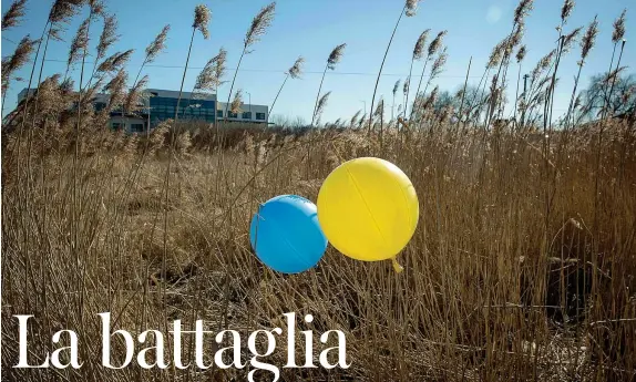  ?? ?? Nei campi Palloncini con i colori della bandiera ucraina in un campo vicino alla frontiera a Medyka, in Polonia (Ap)