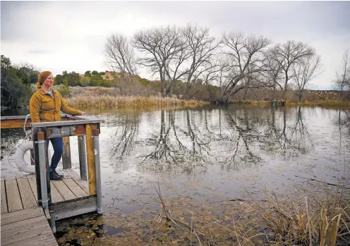  ?? GABRIELA CAMPOS/THE NEW MEXICAN ?? Lindsay Taylor, marketing and public relations director at the Santa Fe Botanical Garden, looks out over the spring-fed pond at the Leonora Curtin Wetland Preserve on Friday. The Santa Fe Botanical Garden received a research grant that will allow for more extensive biological surveys at the Leonora Curtin Wetland Preserve in La Cienega and the botanical garden at Museum Hill’s Piñon-Juniper Woodland.