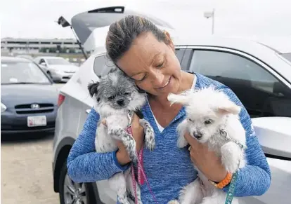  ?? BARBARA HADDOCK TAYLOR/BALTIMORE SUN ?? Patricia Riska, co-founder and president of Wings of Love, Kuwait, holds two of the seven dogs that arrived at Dulles Airport on Monday. Riska and vice president Jennifer Yoon incorporat­ed the organizati­on in October 2015 and it now has five volunteers...