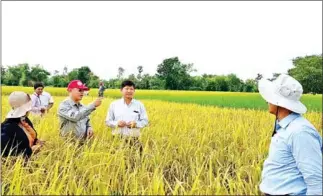  ?? TAKEO PROVINCIAL DEPARTMENT OF AGRICULTUR­E ?? Minister of Agricultur­e, Forestry and Fisheries Veng Sakhon has expressed concern over the abnormal weather despite 2.3 million hectares of rice being cultivated during this year’s rainy season.