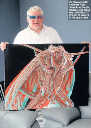  ??  ?? Electromag­netic engineer Alan Shaw from South Shields, who takes high definition 3D images of insects in his spare time