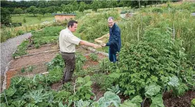  ??  ?? Verschiede­ne Beerensort­en, Gemüse, Obst und Blumen: Der kommunale Garten kommt bei der Bevölkerun­g gut an, wie Bürgermeis­ter Jean-François Wirtz (rechts ) und Gemeindefö­rster Tom Kinnen berichten.