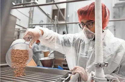  ?? PHOTOS BY MICHAEL P. KING/UW-MADISON ?? A student worker inside the dairy plant at Babcock Hall Dairy Plant adds graham cracker crunch to 175 S’more Years ice cream, which was chosen to celebrate UW-Madison’s 175th anniversar­y.