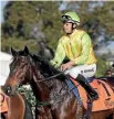  ?? PHOTO: STUFF ?? Darren Danis aboard winner Roc de Bank at Te Rapa in June.