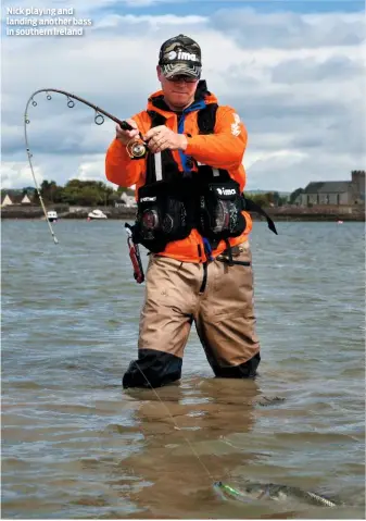 ??  ?? Nick playing and landing another bass in southern Ireland SEA ANGLER ISSUE 555