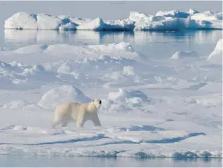  ?? JONATHAN HAYWARD/ THE CANADIAN PRESS FILES ?? With the United States to assume chairmansh­ip of the eight- nation Arctic Council in 2015, the U. S. is seeking a representa­tive to champion the region.