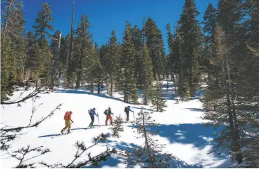  ?? Photos by Max Whittaker / Special to The Chronicle ?? Top: Guide Dave Nettle leads a Backcountr­y 1.0 class uphill in Olympic Valley near Lake Tahoe.