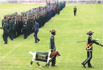  ?? ?? The regimental mascot as part of the procession as uniformed forces march at Barbourfie­lds Stadium