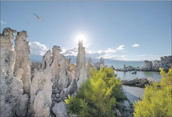  ?? Photograph­s by Allen J. Schaben Los Angeles Times ?? MONO LAKE, famous for its towering, craggy tufa formations, is the remnant of an inland sea, where fresh alpine runoff from Sierra slopes combines with saltwater.