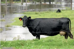  ?? KATRINA TANIRAU/STUFF ?? New freshwater rules will look to crack down on some farming practices.