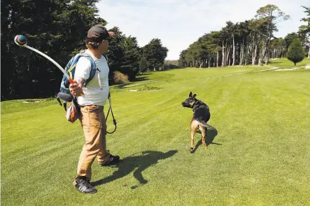  ?? Scott Strazzante / The Chronicle ?? Joe Corrick tosses a ball to Luna on the closed Presidio Golf Course, which can reopen under the newly announced rules.