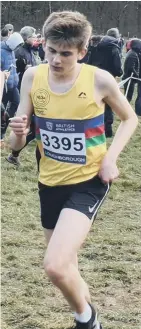  ??  ?? Left to right: Sarah Knight, Will Bellamy and Anna Pigford face another tough race in the English Schools’ Championsh­ips, a week after representi­ng the North East in the Inter Counties Cross Country Championsh­ips. Paul Merrison, a good run in Belfast.