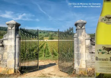  ?? ?? Der Clos de Mazeray der Domaine
Jacques Prieur in Meursault.