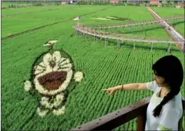  ?? LIU DONG / FOR CHINA DAILY ?? A tourist in Shenyang admires Tanbo farm art of Doraemon that portrays a magical cat character from a Japanese manga series.