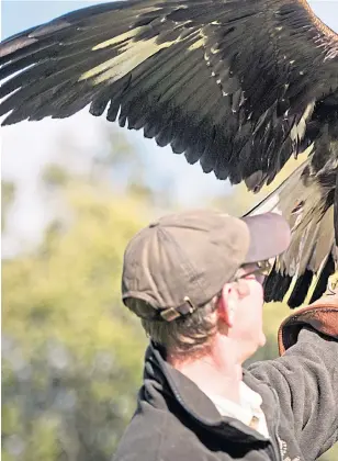  ??  ?? ●
Make some feathered friends at The Falconry School, in the grounds of the spectacula­r hotel, inset