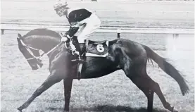  ?? ?? Karu, trained at Levin by Jack Holmes, finished third to Arwon in the 1978 Melbourne Cup.