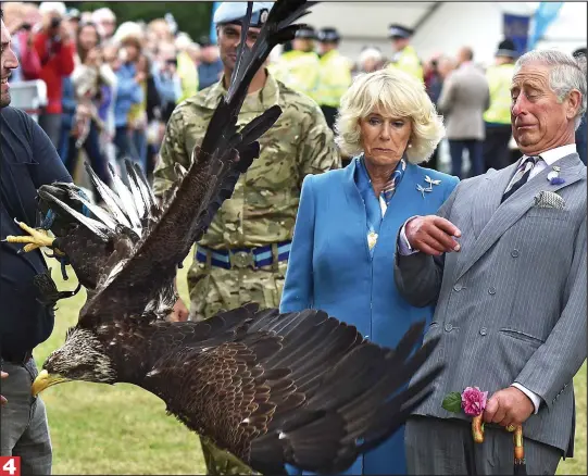  ??  ?? Flight or fright: A startled Charles is forced to lean backwards to avoid Zephyr’s wings as Camilla’s smile turns to a worried grimace