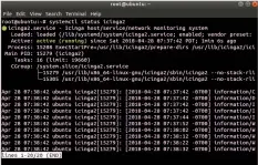  ??  ?? Figure 3: Checking the status of Icinga