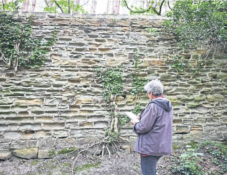 Wall to wall coverage PressReader