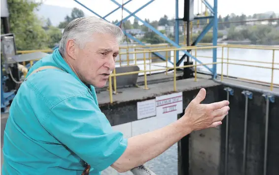  ??  ?? Cowichan River-area resident Joe Saysell on the river’s decline: “This is one part of the province where we didn’t have to go through this.”