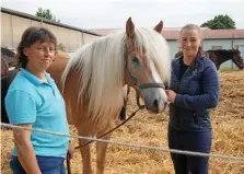  ?? TINA PUFF ?? 24. Reiterfest Anke Lamprecht (links) mit Tochter Jasmin und Haflingerw­allach Sandor.