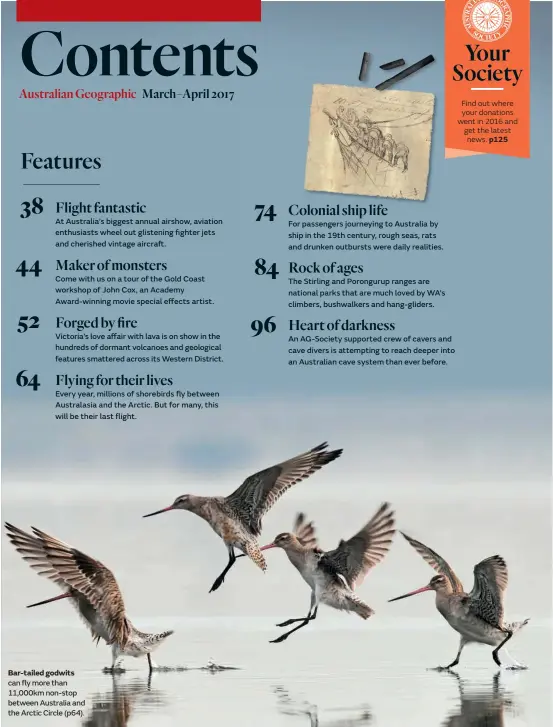  ??  ?? Bar-tailed godwits can fly more than 11,000km non-stop between Australia and the Arctic Circle (p64).