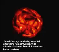  ??  ?? I Bernd Freytags simulering av en röd jättestjär­na framgår tydligt att de kokande rörelserna, konvektion­scellerna, är enormt stora.