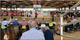  ?? RECORDER PHOTO BY ESTHER AVILA ?? The return of the Junior Livestock Live Auction was well attended Saturday at the Portervill­e Fairground­s.