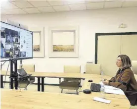  ?? JUNTA DE EXTREMADUR­A ?? La consejera de Agricultur­a, en la videoconfe­rencia con el ministro Luis Planas.