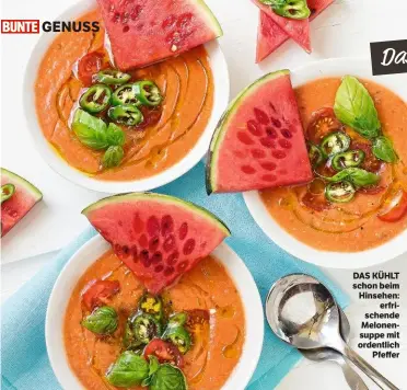  ??  ?? GENUSS DAS KÜHLT schon beim Hinsehen: erfrischen­de Melonensup­pe mit ordentlich Pfeffer