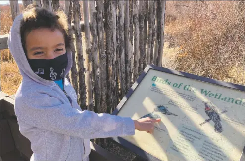  ?? COURTESY PHOTO ?? The Taos Land Trust is introducin­g birdwatchi­ng and community science as they actively work on bird conservati­on.