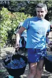  ??  ?? Thierry Comberril, l’exploitant de 10 ha de vignes explique : “quand on ramasse à la main, on ne retrouve pas de feuilles, tandis qu’avec une machine oui.”