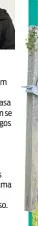  ??  ?? Brenda e Benjamin planejam algo para conter o Anticristo. César e Noah chegam até a casa de Ângela. Dylan e Uri tentam se livrar de Dimitri. Zoe e os amigos criticam o Evento do Perdão.
Paçoca entra no quarto dos meninos, pula em cima da cama e rouba alguns brinquedos pequenos que cabem no bolso. Paçoca entra na diretoria.